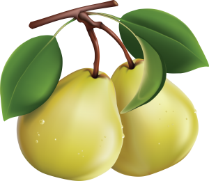 Pear PNG image-3441